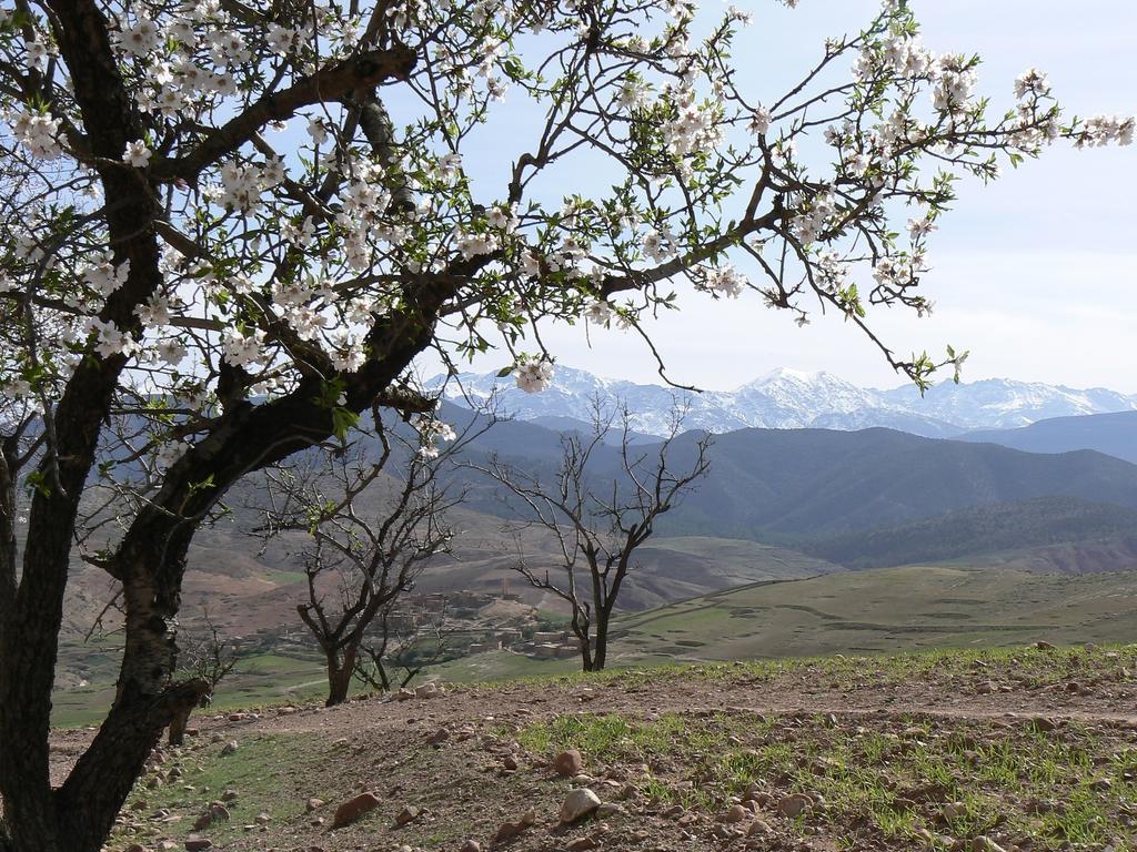 Tigmi Nomade Bed & Breakfast Tahanaout Dış mekan fotoğraf