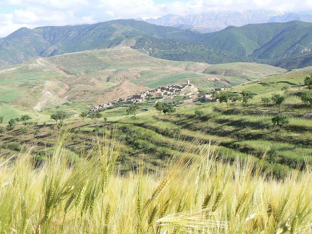 Tigmi Nomade Bed & Breakfast Tahanaout Dış mekan fotoğraf